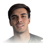 J. Tubarão