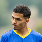 D. Fernandes
