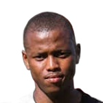 Y. Nomandela