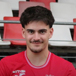 N. Torrão