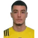 P. Gojkovic