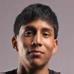 J. J. V. Vega