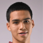 L. J. N. Paredes