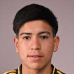 B. N. Melgarejo