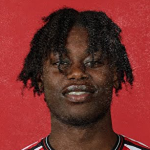 K. Fombad