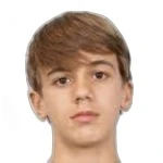 D. Bernardes