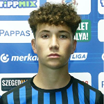 P. Pleskó