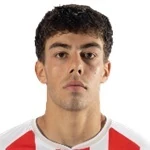14 - D. Monteiro