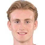 N. Vingsgaard