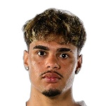 M. Guimaraes