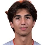 M. Arreguin