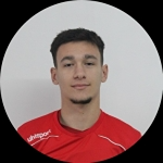 D. Nedelcu