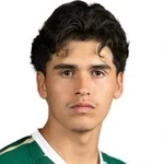 D. Rosas