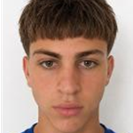N. Krstulovic