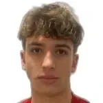 D. Borić