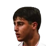 16 - R. M. Petrosyan