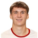 D. Gavric