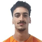 J. N. Ribeiro