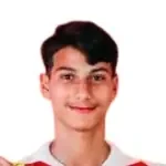 W. Sahli