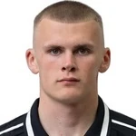 R. Ibragimov