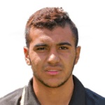 A. H. Elgenawy