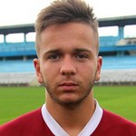 14 - A. I. Cerlincă