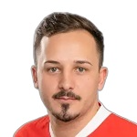 V. Muharemovic