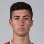 M. Dimitrov