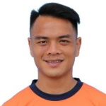 N. T. Vo