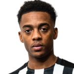 28 - J. Willock