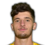 T. Gorenc-Stankovič