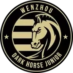 Wenzhou FC