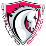 Calcio Mottese