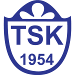 Erzurumspor FK