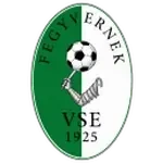 Fegyvernek VSE U19