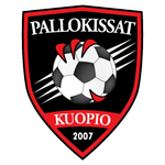 Pallokissat