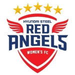Incheon Hyundai Steel Red Angels