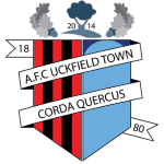 AFC Uckfield Town