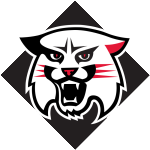 Davidson Wildcats