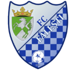 FC Falesti