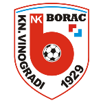 NK Borac Kneževi Vinogradi