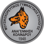 MGS Anagennisi Kolindrou
