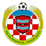 NK Slavonija Punitovci