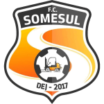 CS Nareb Minerul Ocna Dej