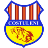 FC Costuleni