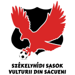 AS CF Vulturii Tineri Săcueni