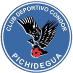Condor de Pichidegua