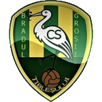 CS Bradul Groșii Țibleșului