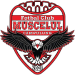 AFC Câmpulung Muscel