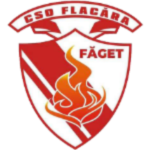 CSO Făget